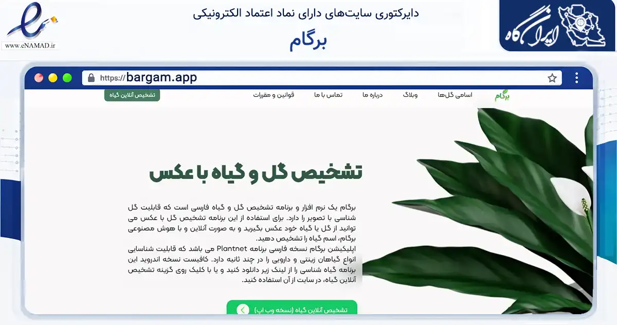 صفحه اصلی سایت برگام به نشانی bargam.app که در زمینه فناوری اطلاعات، ارتباطات و دیجیتال با مرکزیت تهران فعالیت دارد.
