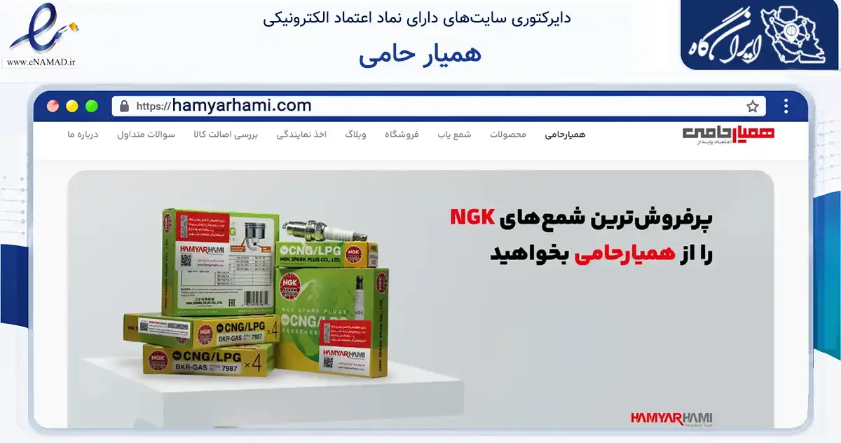 صفحه اصلی سایت همیار حامی به نشانی hamyarhami.com که در زمینه فناوری اطلاعات، ارتباطات و دیجیتال با مرکزیت تهران فعالیت دارد.