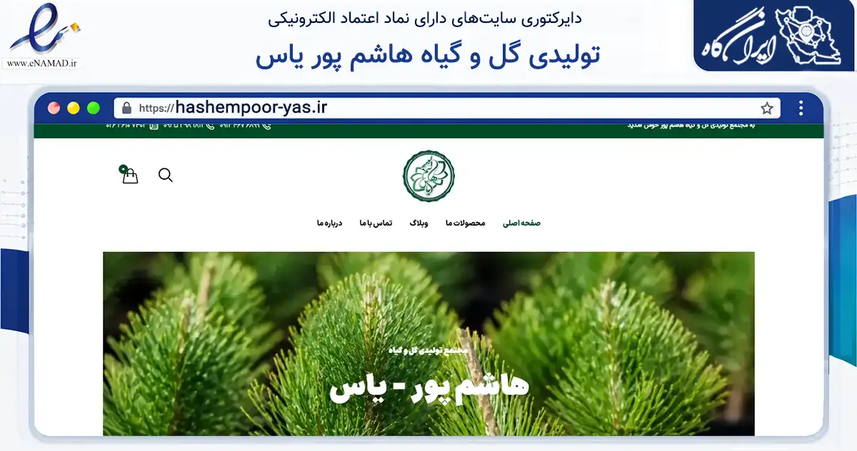 صفحه اصلی سایت تولیدی گل و گیاه هاشم پور یاس به نشانی hashempoor-yas.ir که در زمینه فناوری اطلاعات، ارتباطات و دیجیتال با مرکزیت کرج فعالیت دارد.