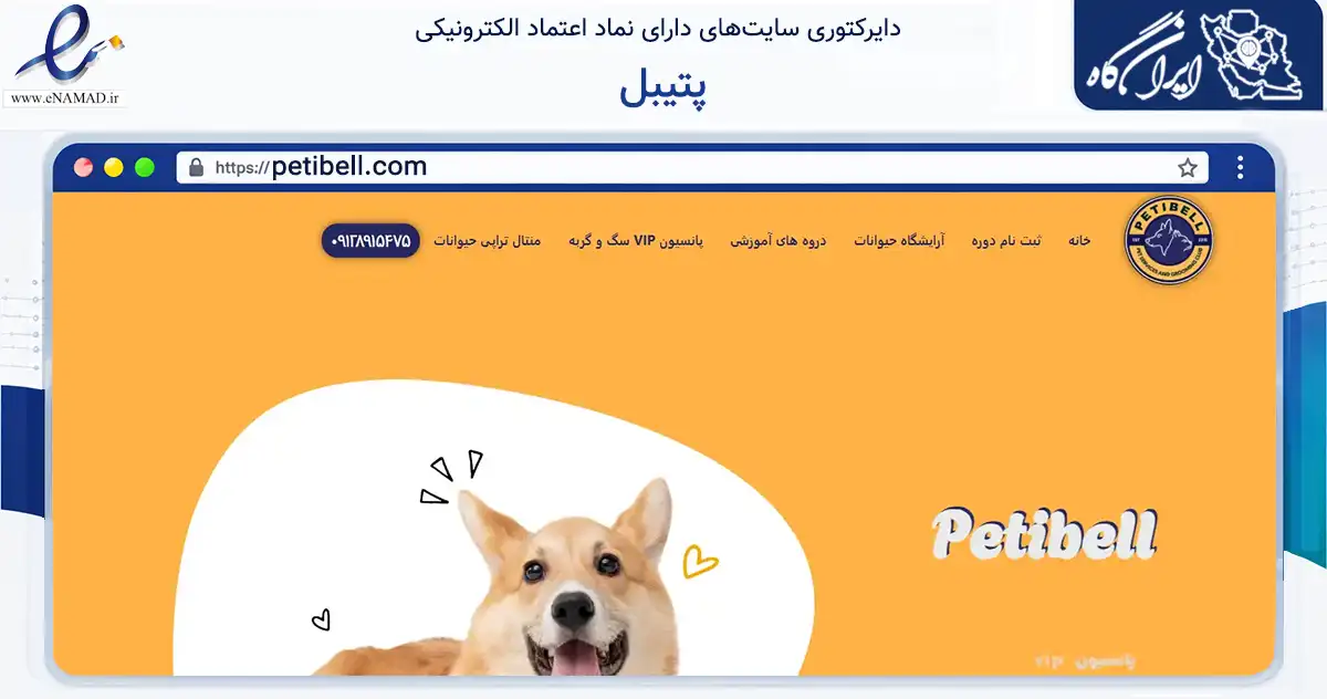 صفحه اصلی سایت پتیبل به نشانی petibell.com که در زمینه فناوری اطلاعات، ارتباطات و دیجیتال با مرکزیت تهران فعالیت دارد.