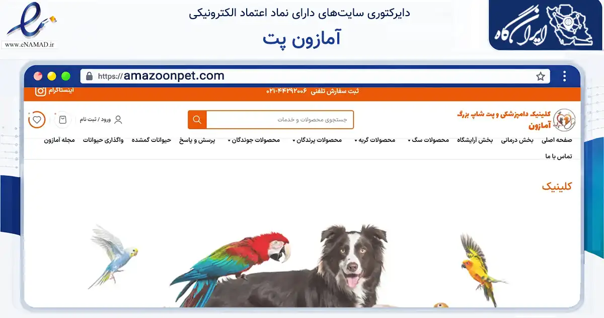 صفحه اصلی سایت آمازون پت به نشانی amazoonpet.com که در زمینه سلامت، درمان و پزشکی با مرکزیت تهران فعالیت دارد.