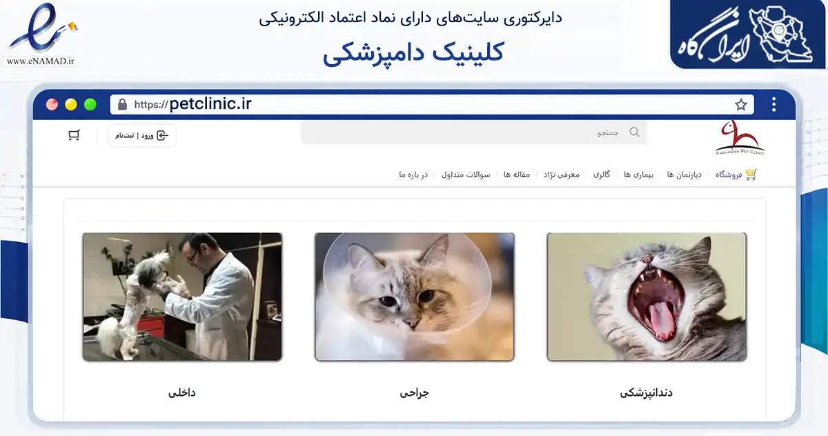 صفحه اصلی سایت کلینیک دامپزشکی به نشانی petclinic.ir که در زمینه سایر خدمات و فعالیت‌ها با مرکزیت شمیرانات فعالیت دارد.