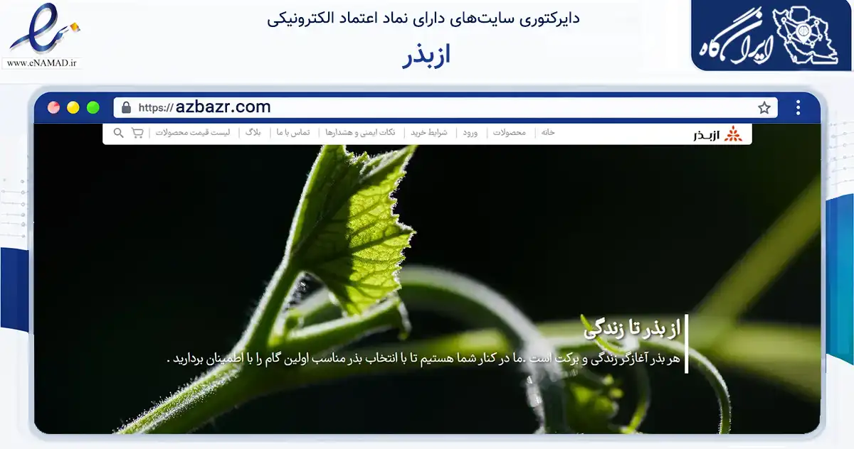 صفحه اصلی سایت ازبذر به نشانی azbazr.com که در زمینه تجارت، بازرگانی و تبلیغات با مرکزیت شیراز فعالیت دارد.