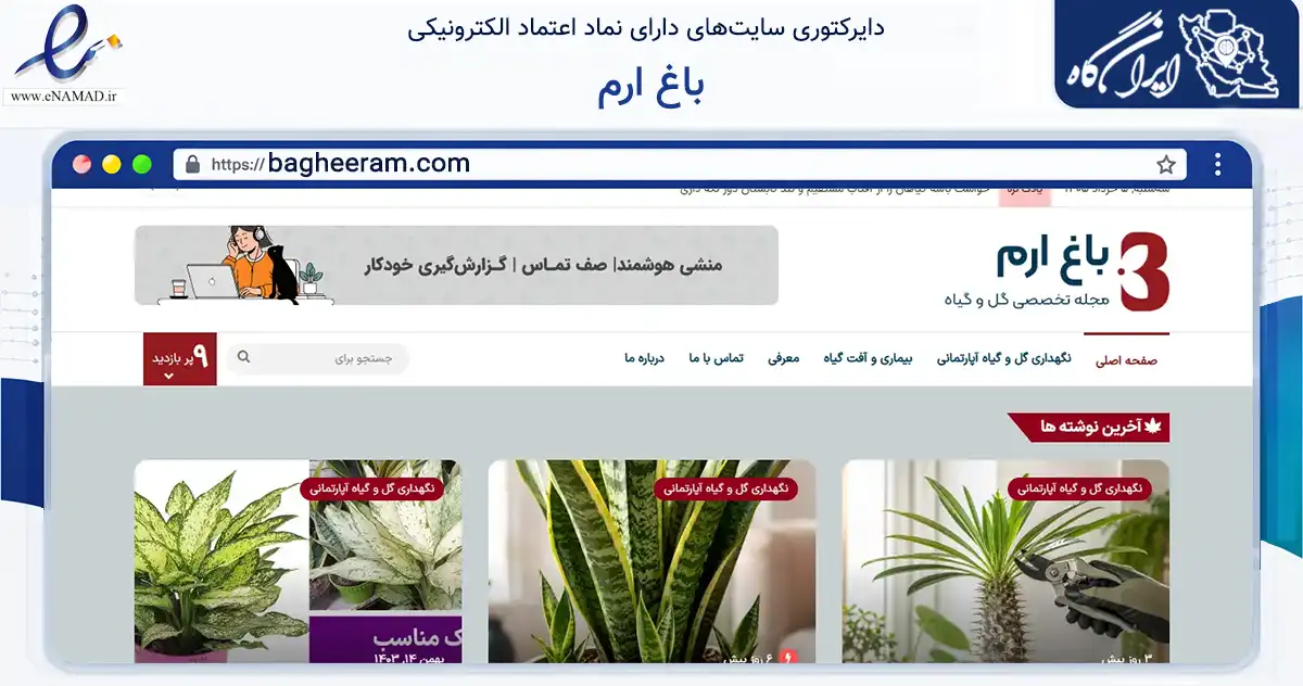 صفحه اصلی سایت باغ ارم به نشانی bagheeram.com که در زمینه تجارت، بازرگانی و تبلیغات با مرکزیت تهران فعالیت دارد.