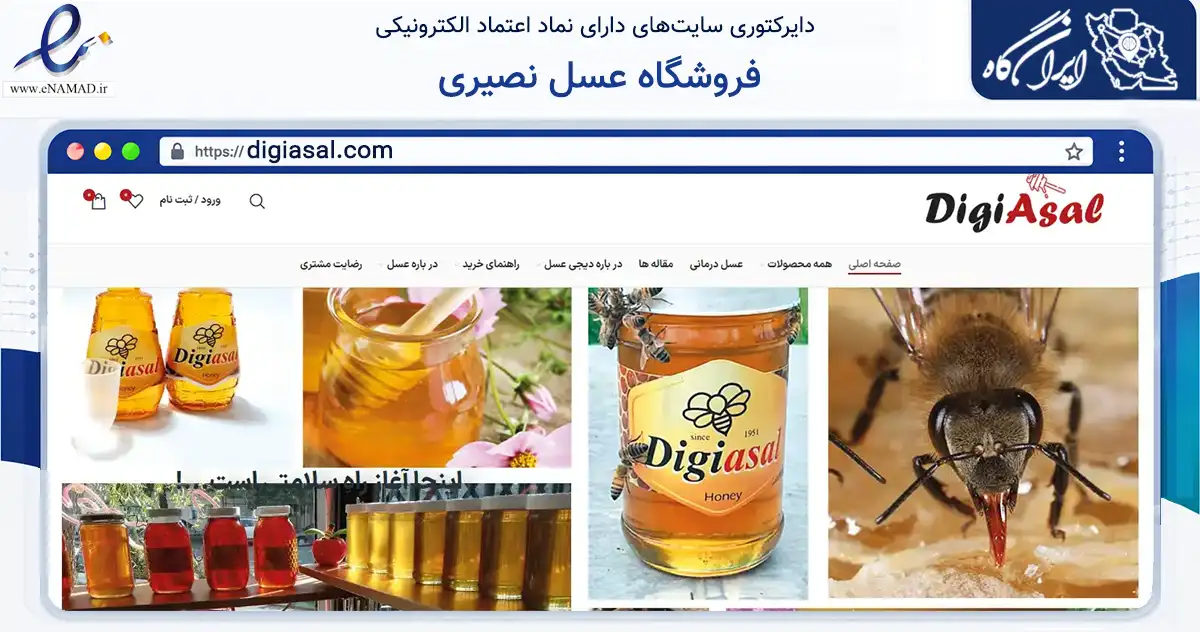 صفحه اصلی سایت فروشگاه عسل نصیری به نشانی digiasal.com که در زمینه تجارت، بازرگانی و تبلیغات با مرکزیت دماوند فعالیت دارد.