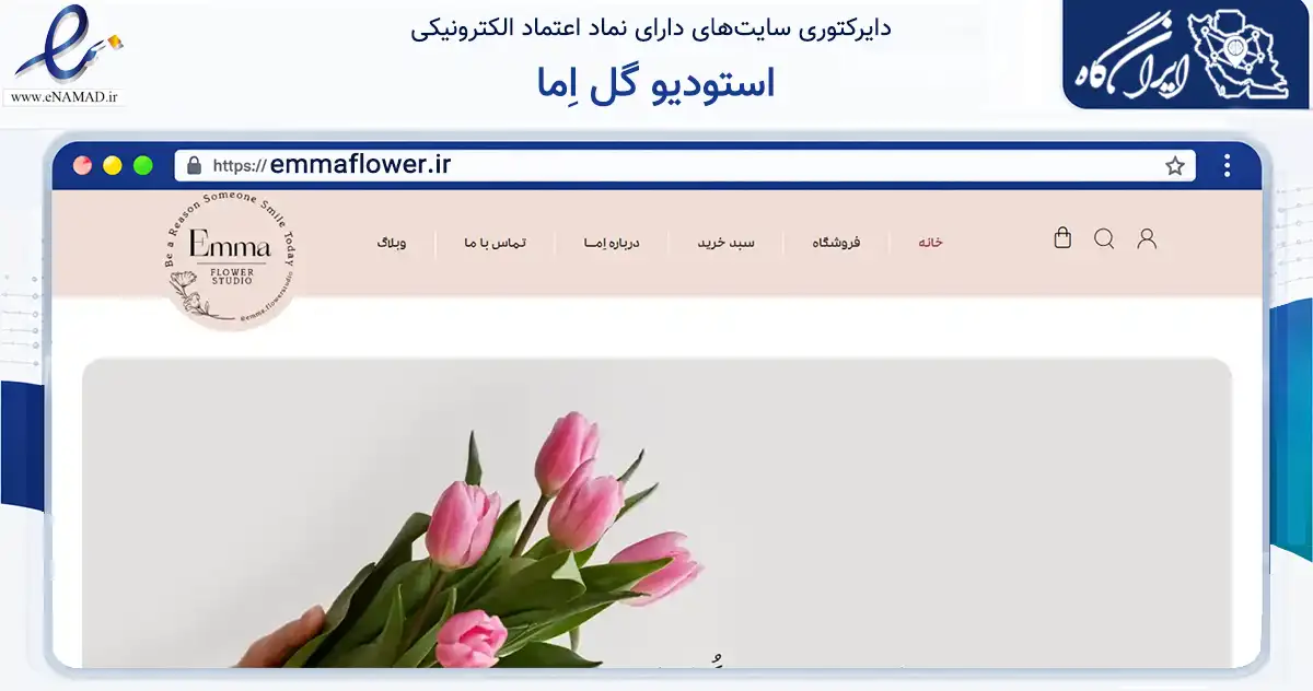 صفحه اصلی سایت استودیو گل اِما به نشانی emmaflower.ir که در زمینه تجارت، بازرگانی و تبلیغات با مرکزیت یزد فعالیت دارد.