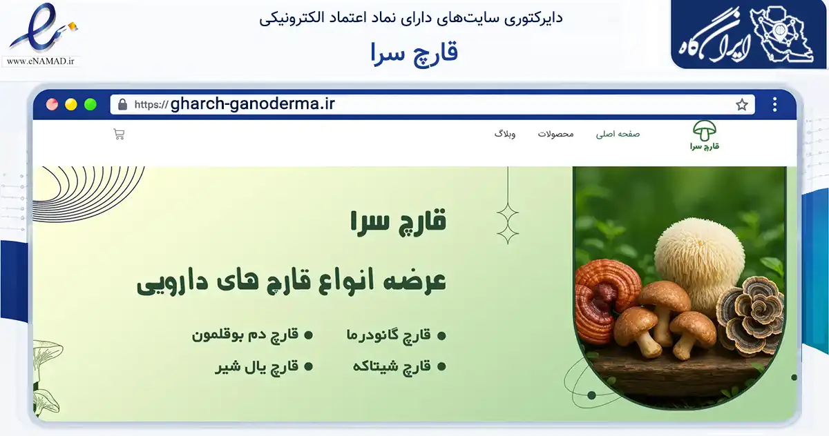 صفحه اصلی سایت قارچ سرا به نشانی gharch-ganoderma.ir که در زمینه تجارت، بازرگانی و تبلیغات با مرکزیت کرج فعالیت دارد.