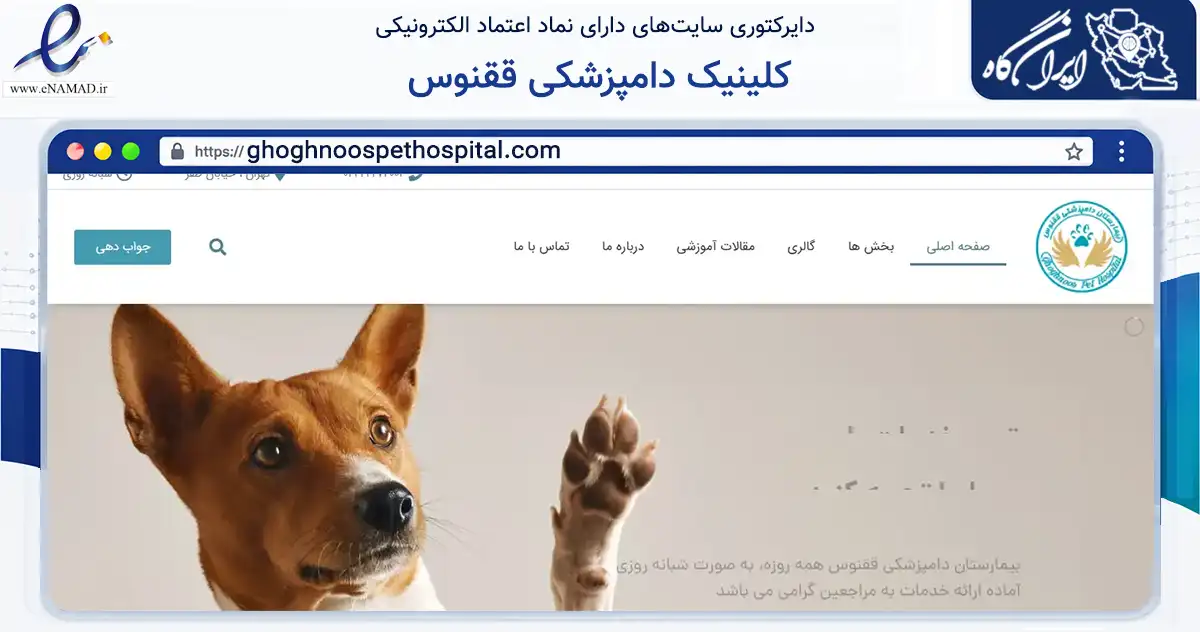صفحه اصلی سایت کلینیک دامپزشکی ققنوس به نشانی ghoghnoospethospital.com که در زمینه تجارت، بازرگانی و تبلیغات با مرکزیت تهران فعالیت دارد.