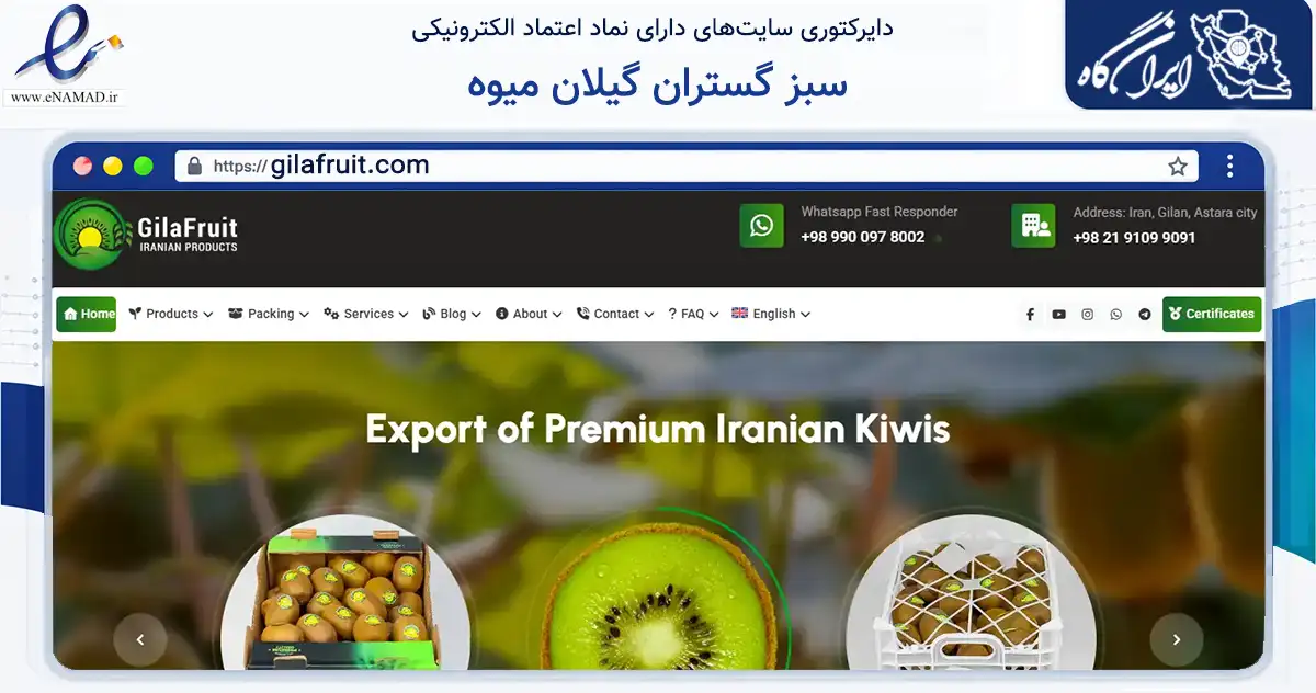 صفحه اصلی سایت سبز گستران گیلان میوه به نشانی gilafruit.com که در زمینه تجارت، بازرگانی و تبلیغات با مرکزیت آستارا فعالیت دارد.