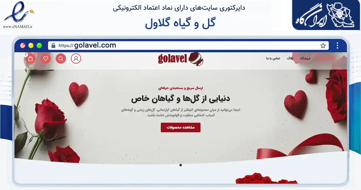 صفحه اصلی سایت گل و گیاه گلاول به نشانی golavel.com که در زمینه تجارت، بازرگانی و تبلیغات با مرکزیت شمیرانات فعالیت دارد.
