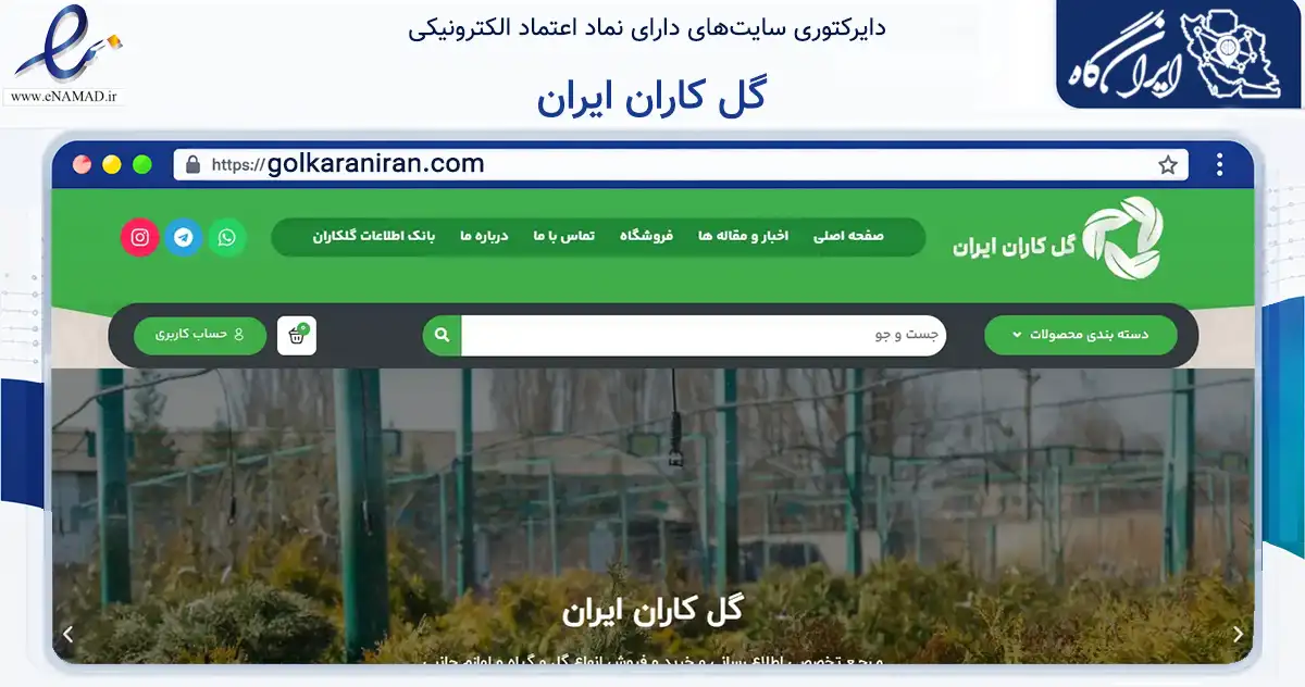 صفحه اصلی سایت گل کاران ایران به نشانی golkaraniran.com که در زمینه تجارت، بازرگانی و تبلیغات با مرکزیت املش فعالیت دارد.