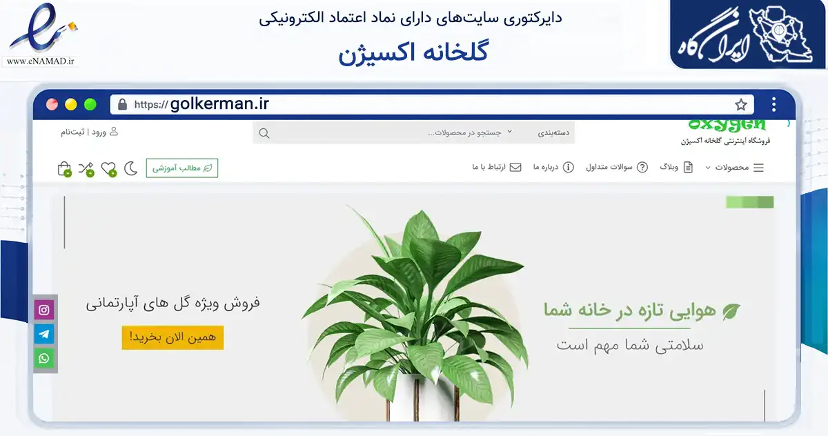 صفحه اصلی سایت گلخانه اکسیژن به نشانی golkerman.ir که در زمینه تجارت، بازرگانی و تبلیغات با مرکزیت کرمان فعالیت دارد.
