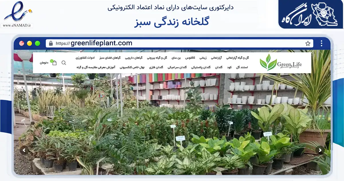 صفحه اصلی سایت گلخانه زندگی سبز به نشانی greenlifeplant.com که در زمینه تجارت، بازرگانی و تبلیغات با مرکزیت شهریار فعالیت دارد.