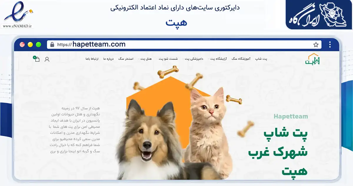 صفحه اصلی سایت هپت به نشانی hapetteam.com که در زمینه تجارت، بازرگانی و تبلیغات با مرکزیت تهران فعالیت دارد.