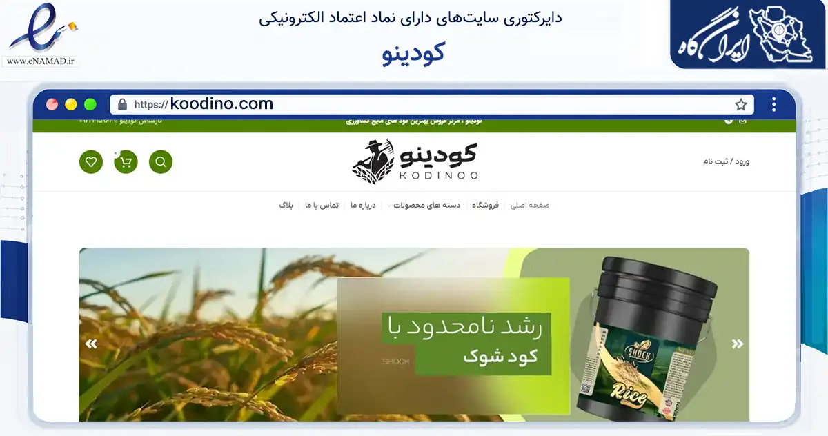 صفحه اصلی سایت کودینو به نشانی koodino.com که در زمینه تجارت، بازرگانی و تبلیغات با مرکزیت مشهد فعالیت دارد.
