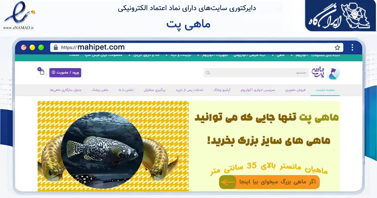 صفحه اصلی سایت ماهی پت به نشانی mahipet.com که در زمینه تجارت، بازرگانی و تبلیغات با مرکزیت تهران فعالیت دارد.