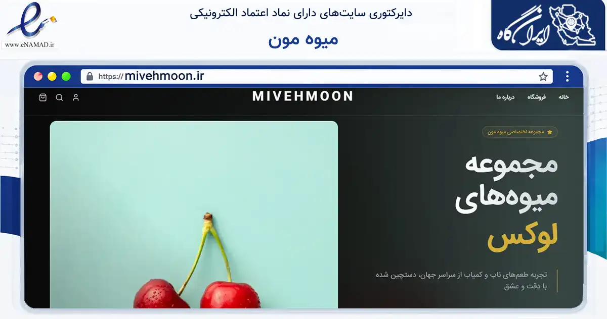 صفحه اصلی سایت میوه مون به نشانی mivehmoon.ir که در زمینه تجارت، بازرگانی و تبلیغات با مرکزیت تهران فعالیت دارد.