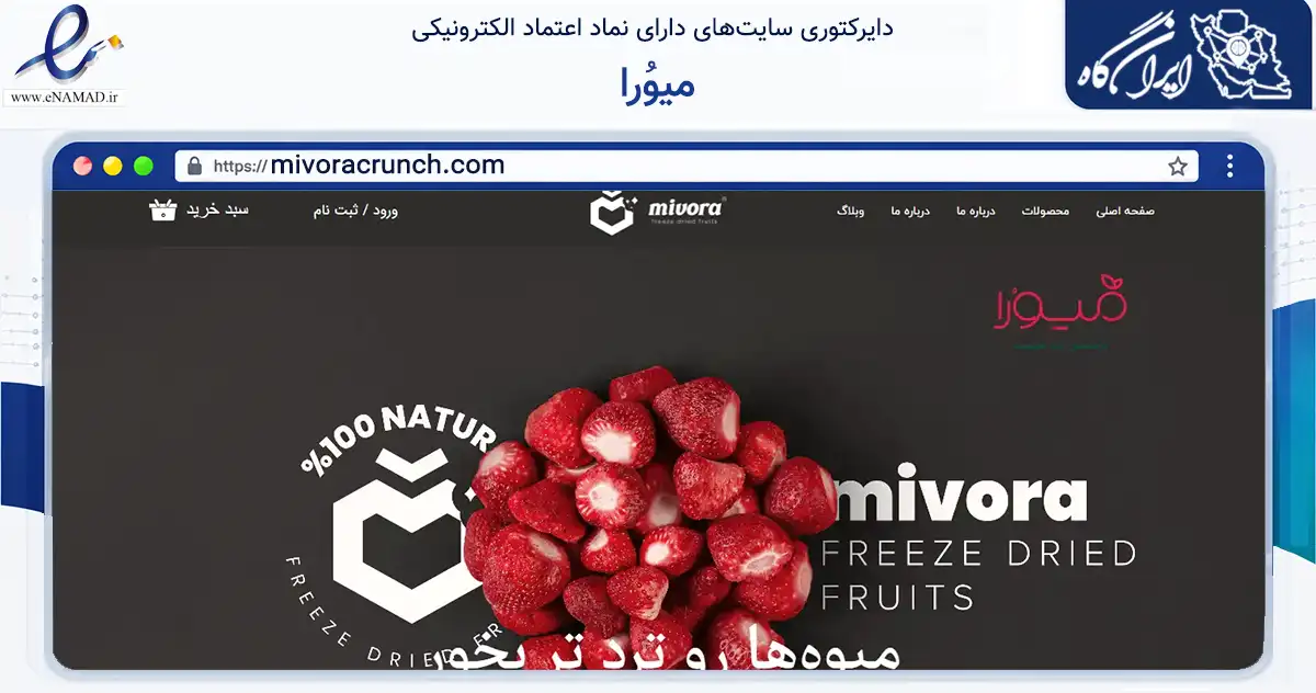صفحه اصلی سایت میوُرا به نشانی mivoracrunch.com که در زمینه تجارت، بازرگانی و تبلیغات با مرکزیت تهران فعالیت دارد.