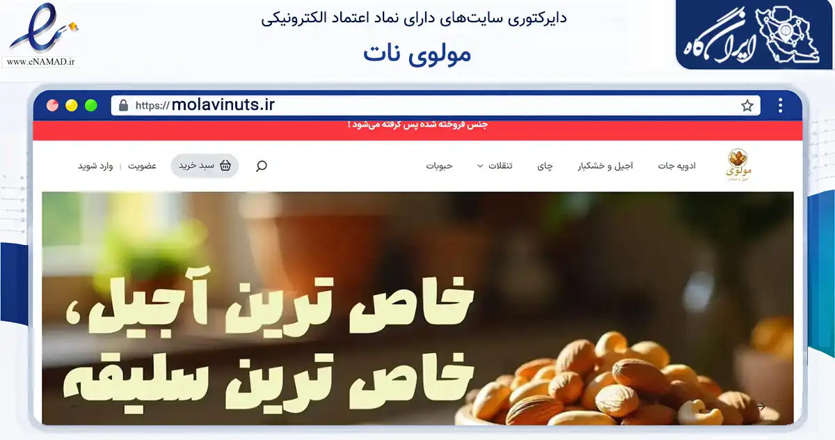 صفحه اصلی سایت مولوی نات به نشانی molavinuts.ir که در زمینه تجارت، بازرگانی و تبلیغات با مرکزیت تهران فعالیت دارد.
