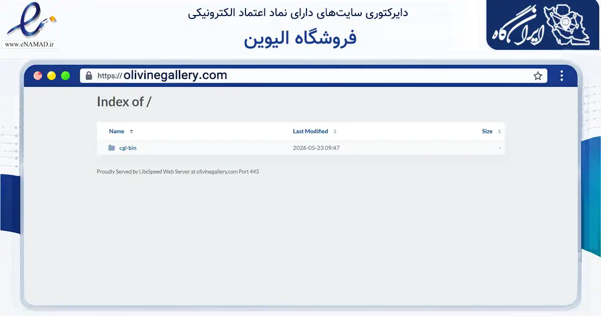 صفحه اصلی سایت فروشگاه الیوین به نشانی olivinegallery.com که در زمینه تجارت، بازرگانی و تبلیغات با مرکزیت مشگین‌شهر فعالیت دارد.