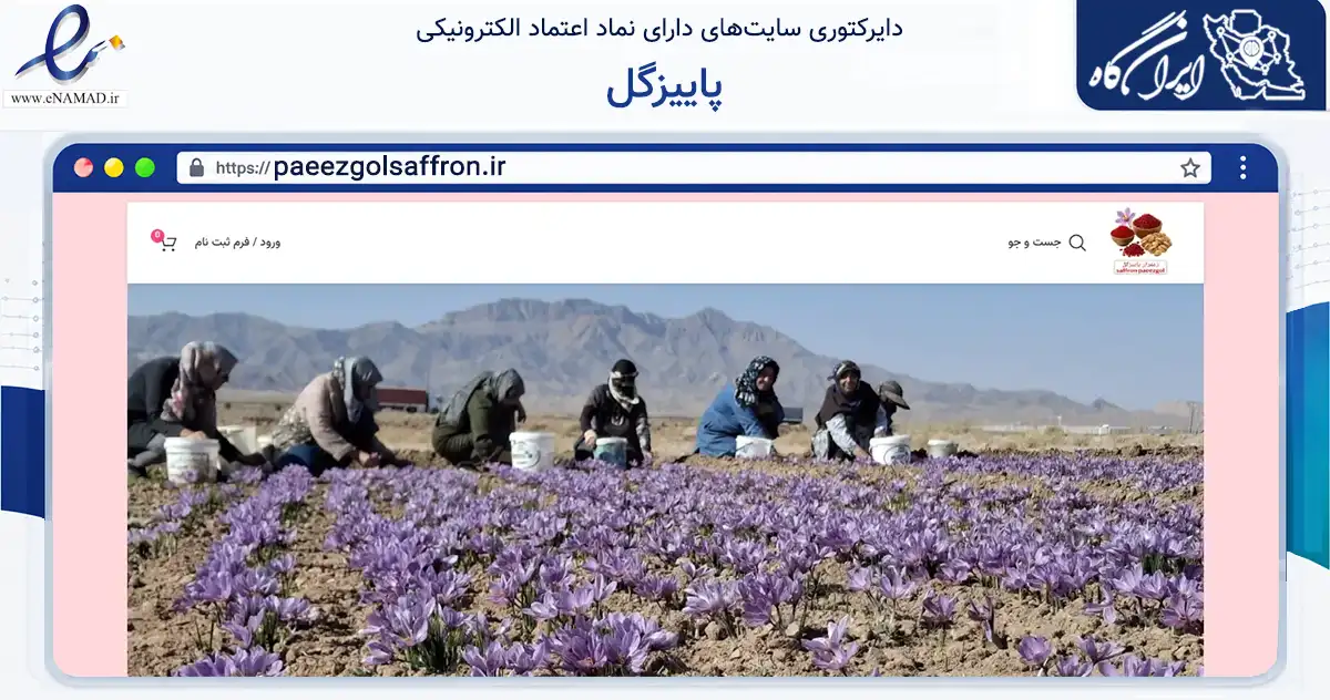 صفحه اصلی سایت پاییزگل به نشانی paeezgolsaffron.ir که در زمینه تجارت، بازرگانی و تبلیغات با مرکزیت بجستان فعالیت دارد.