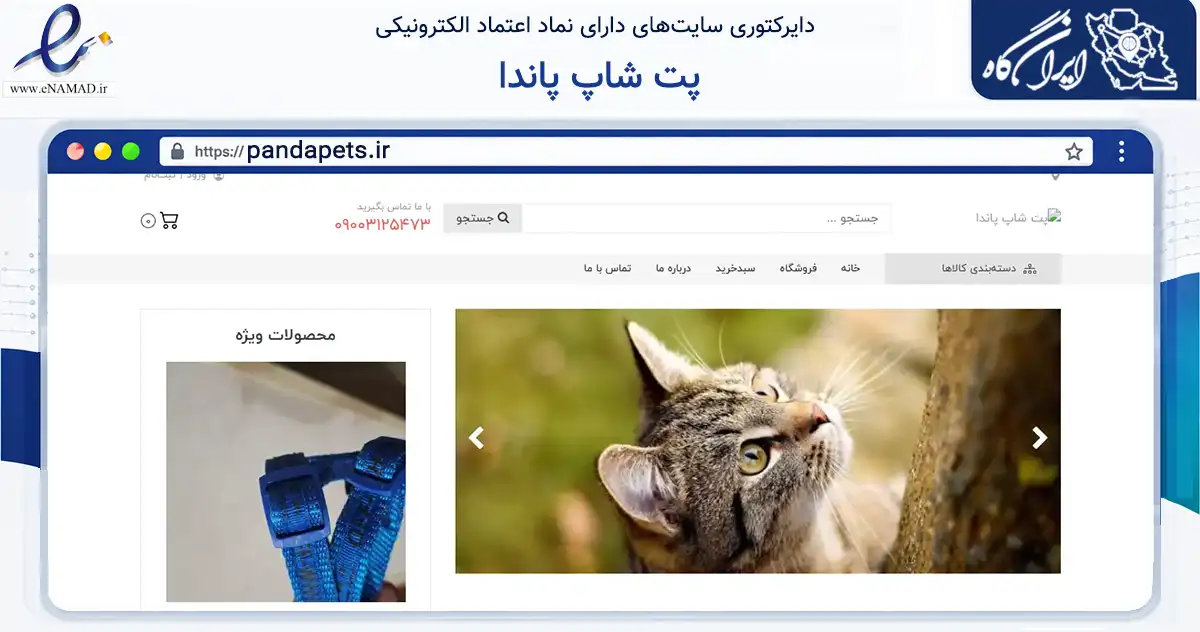 صفحه اصلی سایت پت شاپ پاندا به نشانی pandapets.ir که در زمینه تجارت، بازرگانی و تبلیغات با مرکزیت فسا فعالیت دارد.