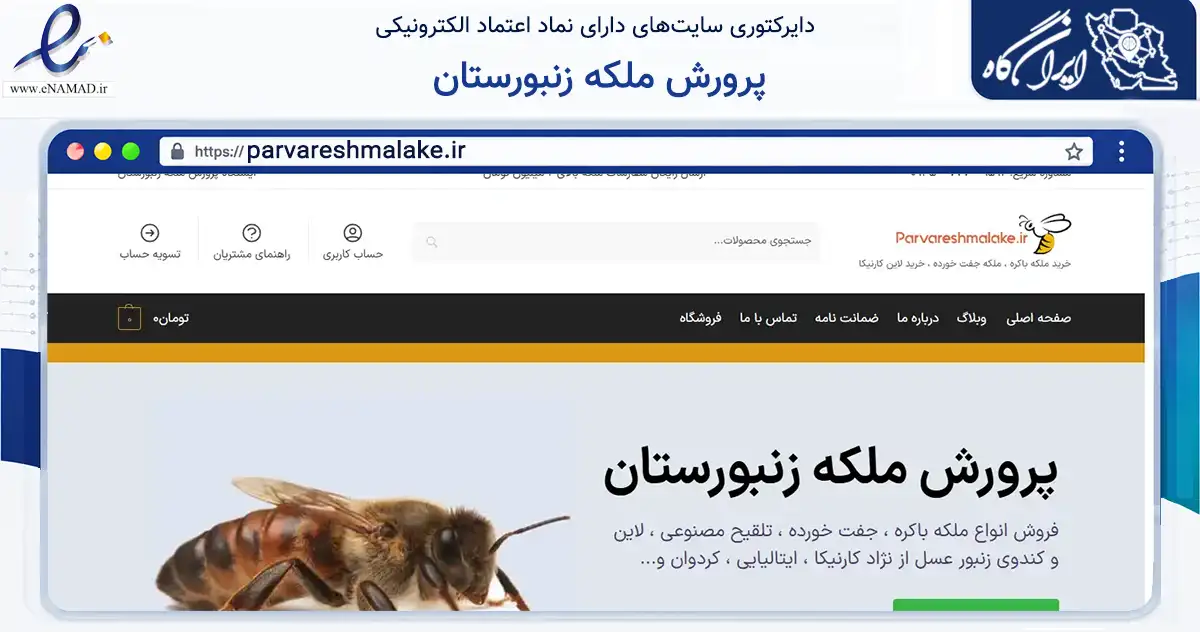 صفحه اصلی سایت پرورش ملکه زنبورستان به نشانی parvareshmalake.ir که در زمینه تجارت، بازرگانی و تبلیغات با مرکزیت ترکمن فعالیت دارد.