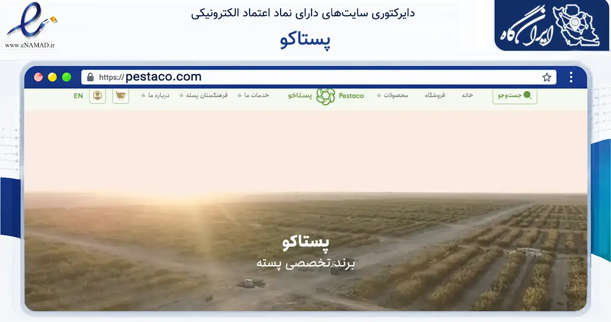 صفحه اصلی سایت پستاکو به نشانی pestaco.com که در زمینه تجارت، بازرگانی و تبلیغات با مرکزیت تهران فعالیت دارد.