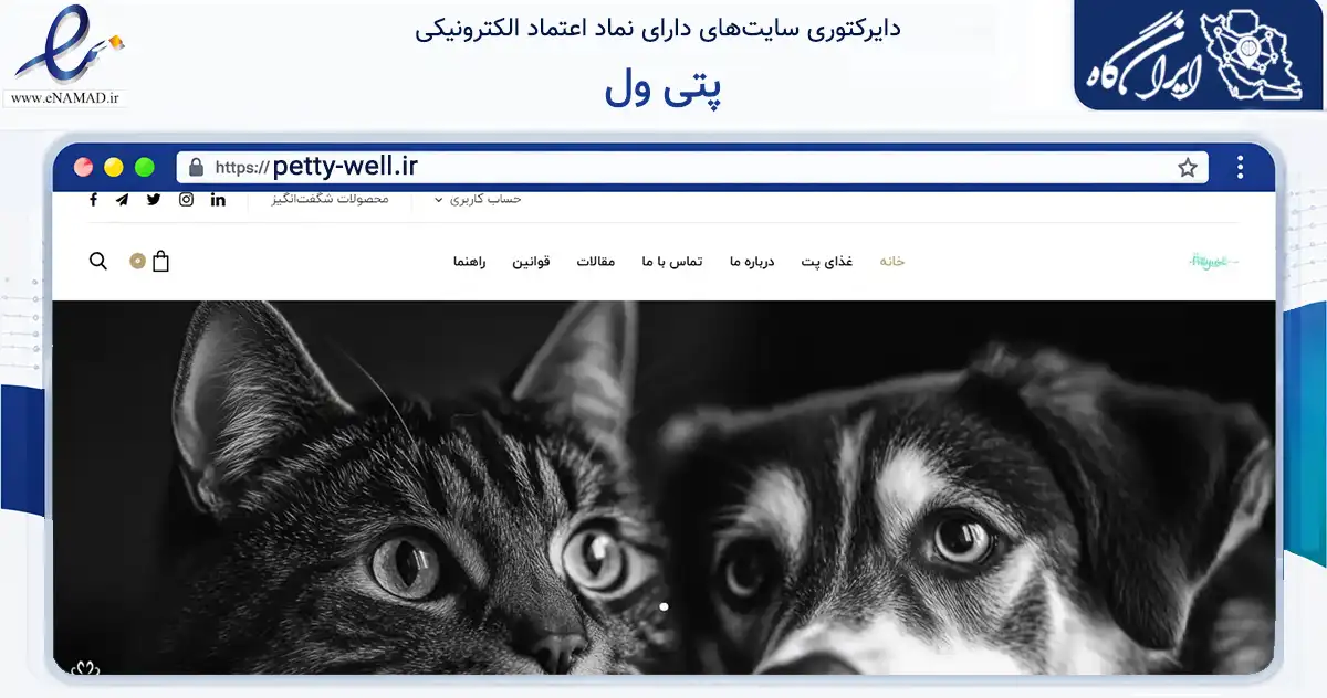 صفحه اصلی سایت پتی ول به نشانی petty-well.ir که در زمینه تجارت، بازرگانی و تبلیغات با مرکزیت شیراز فعالیت دارد.