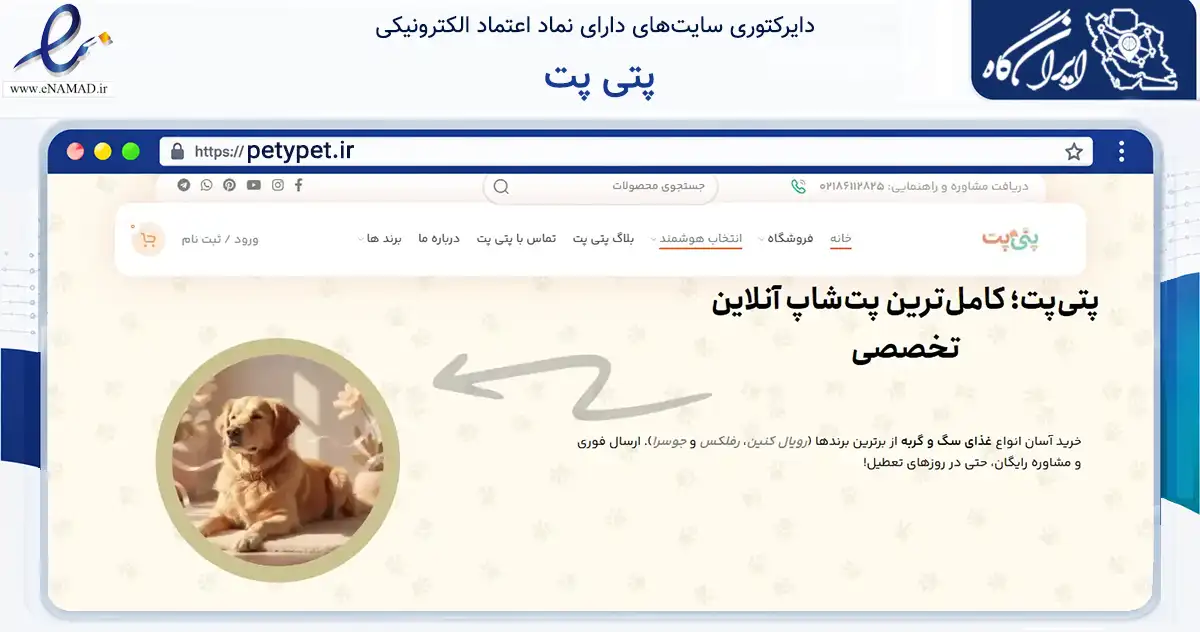 صفحه اصلی سایت پتی پت به نشانی petypet.ir که در زمینه تجارت، بازرگانی و تبلیغات با مرکزیت تهران فعالیت دارد.