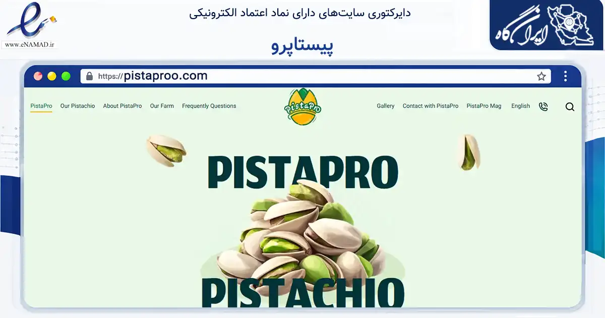 صفحه اصلی سایت پیستاپرو به نشانی pistaproo.com که در زمینه تجارت، بازرگانی و تبلیغات با مرکزیت ابرکوه فعالیت دارد.