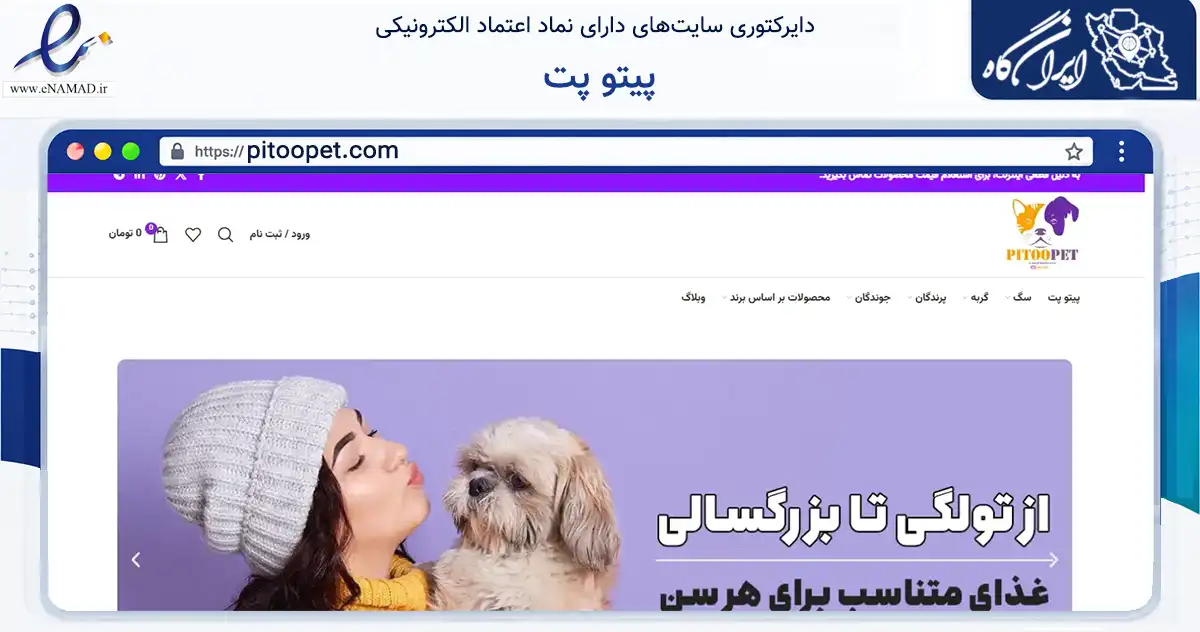صفحه اصلی سایت پیتو پت به نشانی pitoopet.com که در زمینه تجارت، بازرگانی و تبلیغات با مرکزیت تهران فعالیت دارد.